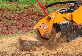 Best Stump Grinding and Removal  in Blacksburg, VA